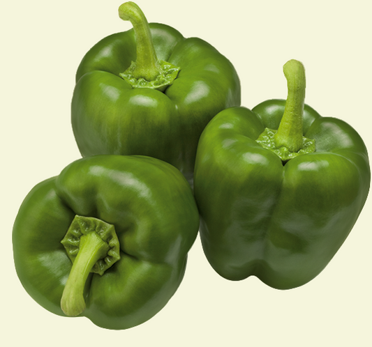 Capsicum